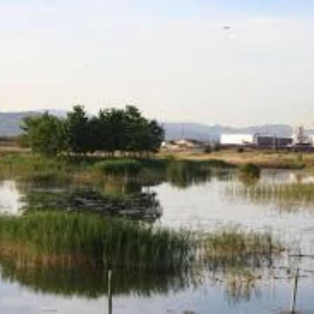 Apartamento Cerca De Playa Y Montana Ideal Familias O Relax Puçol Dış mekan fotoğraf